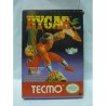 RYGAR (loose)