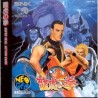 ART OF FIGHTING