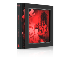 THE ART OF SAMURAI SHODOWN
