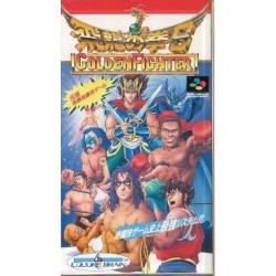 HIRYU NO KEN S Golden Fighter