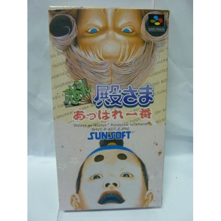 DEAE TONOSAMA APPARE ICHIBAN