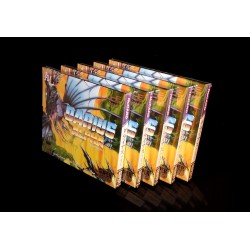 DARIUS ALPHA Set réedition plus Darius Megadrive