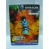 CAPCOM VS SNK 2 EO jap