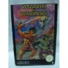 wizards-warriors-