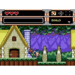 WONDERBOY IN MONSTER WORLD ss notice