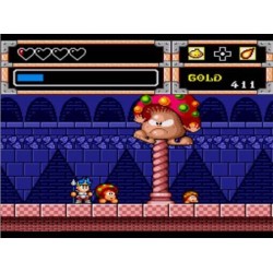 WONDERBOY IN MONSTER WORLD ss notice