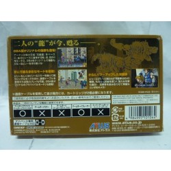 DOUBLE DRAGON ADVANCE
