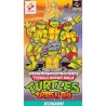 notice-de-turtles-in-time-japan