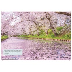 es-1000-plus-beau-paysages-du-japon