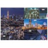 es-1000-plus-beau-paysages-du-japon