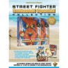 street-fighter-swimsuit-special-collection
