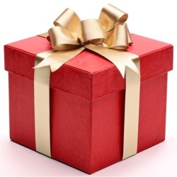 BON CADEAU NOEL