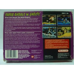 SUPER GHOULS 'N GHOSTS Pal Fah (sans notice)