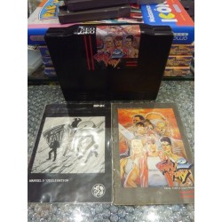 FATAL FURY 2