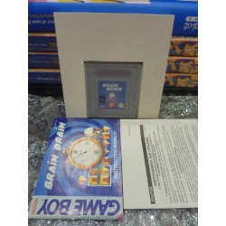 brain-drain-pal game boy