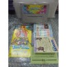 tiny-toon-adventures-super famicom