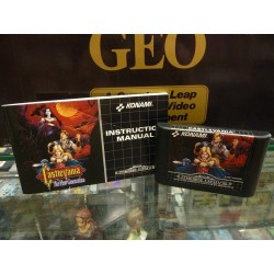 CASTLEVANIA : The New Generation