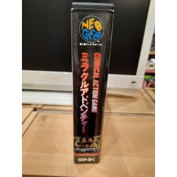 miracle-adventure-neo geo aes
