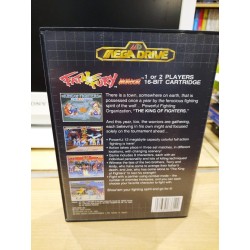 fatal-fury-pal-asia