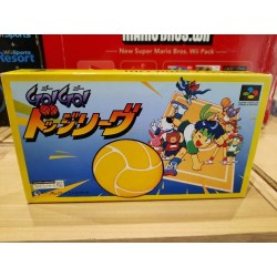 go-go-dodge-league super famicom