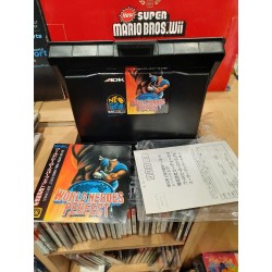 world-heroes-perfect neo geo