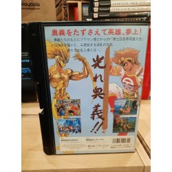 world-heroes-perfect neo geo