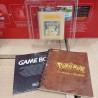 pokemon-jaune-complet