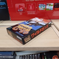 WILD GUNS