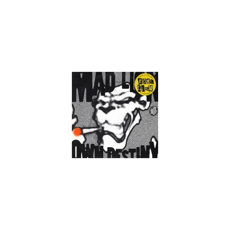 MAD LION : OWN DESTINY