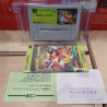 MICKEY MANIA