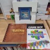 POKEMON Bleue pal fr Complet (pile ok)