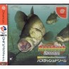 BASS RUSH DREAM