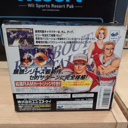 FATAL FURY REAL BOUT RAM PACK