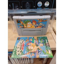 achat joe & mac super famicom