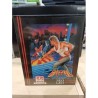 fatal fury neo geo