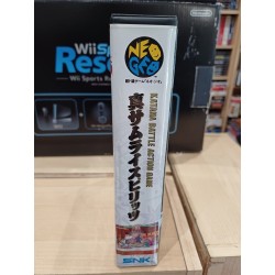 SAMURAI SPIRIT 2