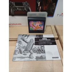 woody-pop game gear
