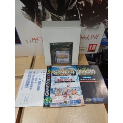grandia game boy color