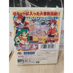 grandia game boy color