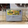 TEENAGE MUTANT NINJA TURTLES : TURTLES IN TIME
