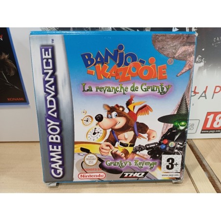 BANJO KAZOOIE Gruntys Revenge