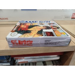 fist-of-the-north-star-ken-le-survivant-usa