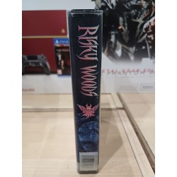 risky-woods megadrive