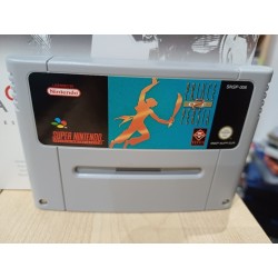 PRINCE OF PERSIA 2 Pal (cartouche seule)