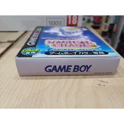 magical-chase-game boy color
