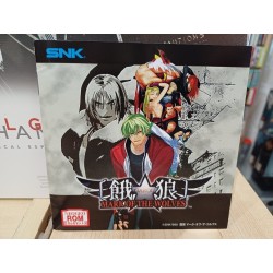 mark-of-the-wolves-neo geo aes