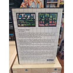 fantasy-zone-the-maze master system