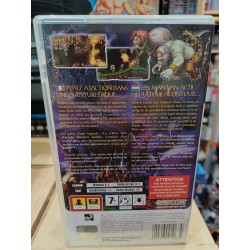 ultimate-ghosts-n-goblins-psp