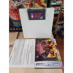 altered-beast-guardians-of-the-realms game boy advance