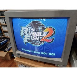 the-rumble-fish-2-atomiswave